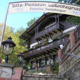 Bilz-Pension, hotell i Radebeul