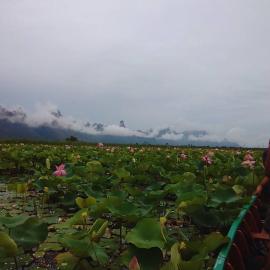 Lungcha Homestay, hotel in Sam Roi Yot