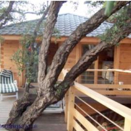 Albaria Lodge, Hotel in Saint-Florent