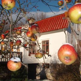 Mellangården i Äpplerum, hotel u gradu Borgholm