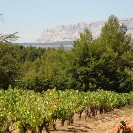 Le Paradis de Clarisse