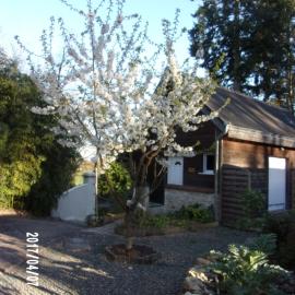 Maison Bois "Alaska", hotel a Rochecorbon