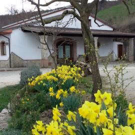 Agriturismo Il Regio Tratturo, ξενοδοχείο σε Baselice