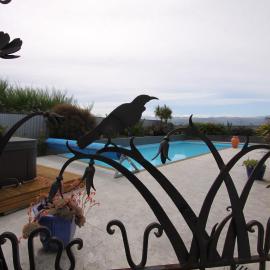 Languor B&B, מלון בCarterton