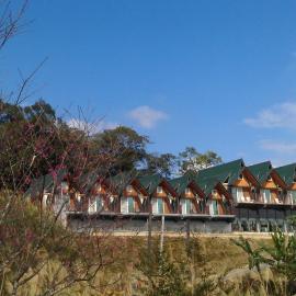 Yulan Green Roof, khách sạn ở Đại Đồng