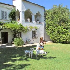 Agriturismo "Borgo Madonna degli Angeli" - charming cottages in the gardens !, hotel a Tocco da Casauria