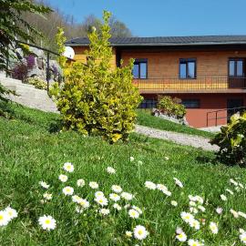 Gite du Walsbach, hotel a Munster