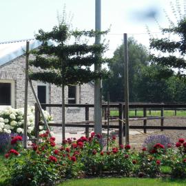 B & B " De 7 Sprong " – hotel w mieście Sevenum