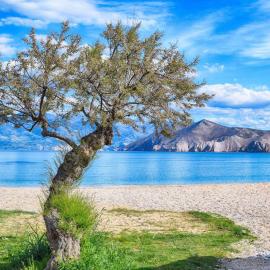 Villa Zlata - Holiday house، فندق في باشكا