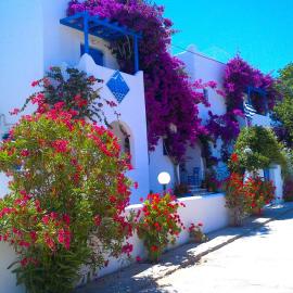Pelagos Studios, hotel i Parikia