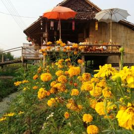 Pai में, होटल Tulip Resort Pai