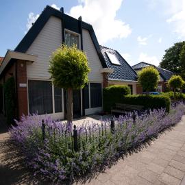 Huize Goede Reede, Hotel in Oudemirdum