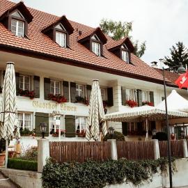 Gasthof Löwen, hotel en Wisen