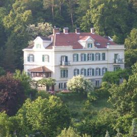 Waldpension Mück, Hotel in Gars am Kamp