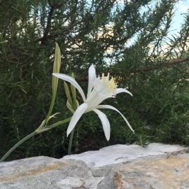 Ca' di Bianca