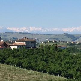 Cascina Baresane, хотел в Алба