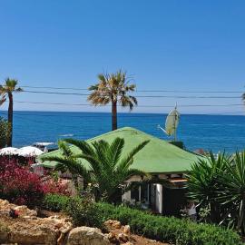 Flores Del Mar