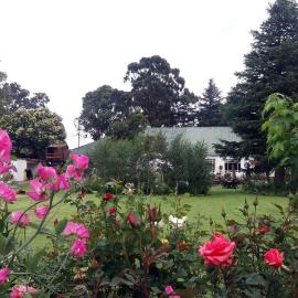 Green Lantern Inn, hotel Van Reenen városában 