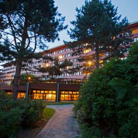 Disney Sequoia Lodge