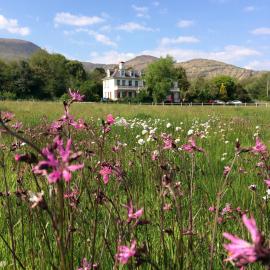 Staigue Fort House, hotel in Caherdaniel