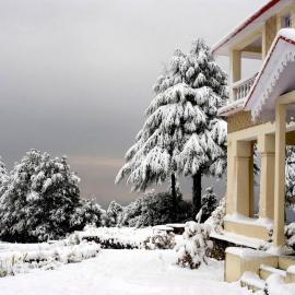 Tree of Life Grand Oak Manor, Binsar, hotel v destinácii Binsar
