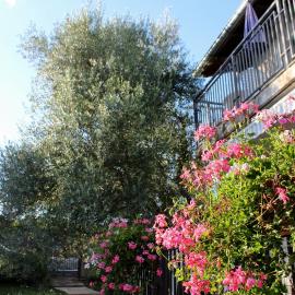 Turković Apartments