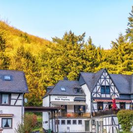 Historische Mühle Vogelsang, hotel in Brodenbach