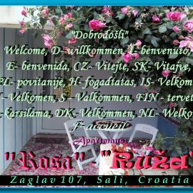 Apartment Ruza, hotell i Sali