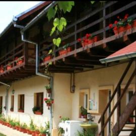 Pensiunea Leia Cârțișoara: Cârțișoara şehrinde bir otel
