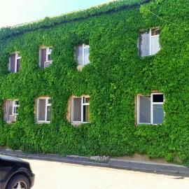 Hotel Lilo near Airport, hotel a Tbilisi