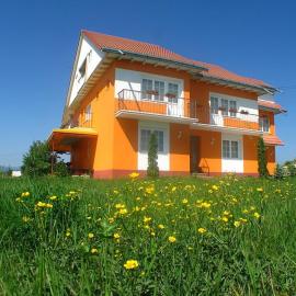 Vila Vlad, hotel in Târgu Neamț