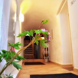 Apartments Altstadthaus Görlitz, viešbutis mieste Gerlicas