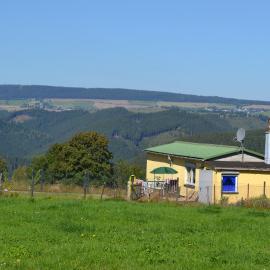Auf der Weide