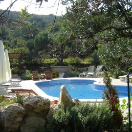 Pool apartments Mirjana
