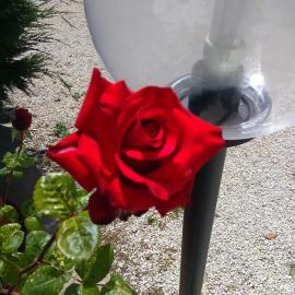 Trulli Sarmenzanello, hotel em Noci