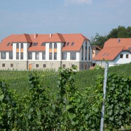 Weingut Taggenbrunn, hotell i Sankt Veit an der Glan
