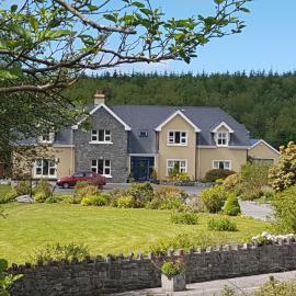 Greenlawn Lodge, hotel a Lisdoonvarna