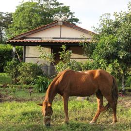 Finca Lindos Ojos, hotel i Estelí