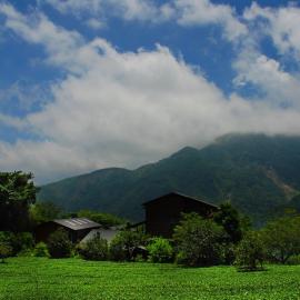 Walk Cloud Bed and Breakfast, hotel di Meishan