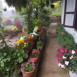 Rheinberg Town Haus, hotel v destinácii Munnar