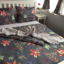 MASTER apartman, hotel din Sisak