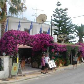 Harry's Bar & Apartments 1, Hotel in Acharavi