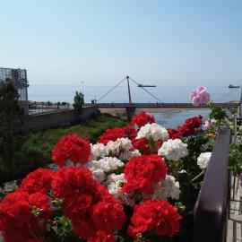 Savonaamare, hotel in Savona