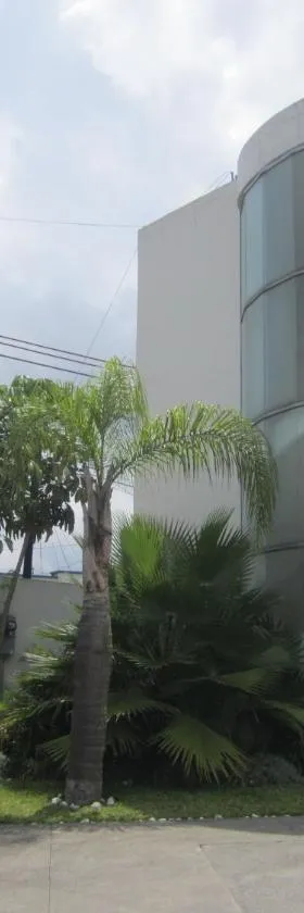Auto Hotel Mediterráneo, Hotel in Xalapa