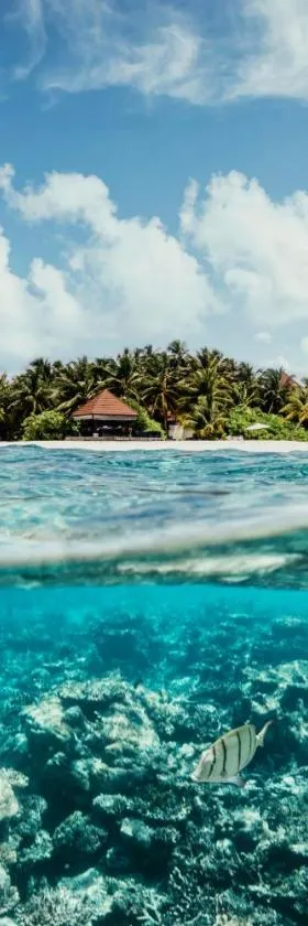 ROBINSON MALDIVES - Adults only, Hotel in Gaafu Alifu Atoll