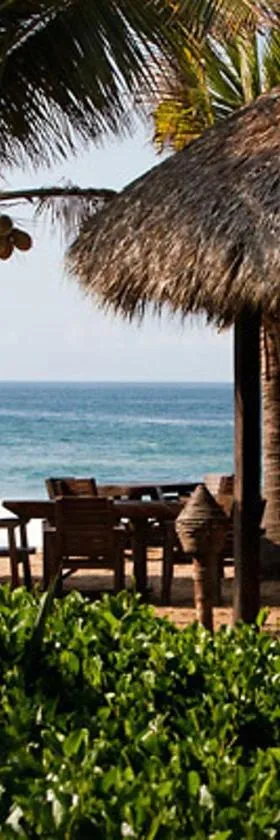 El Alquimista Yoga Spa, Hotel in Zipolite