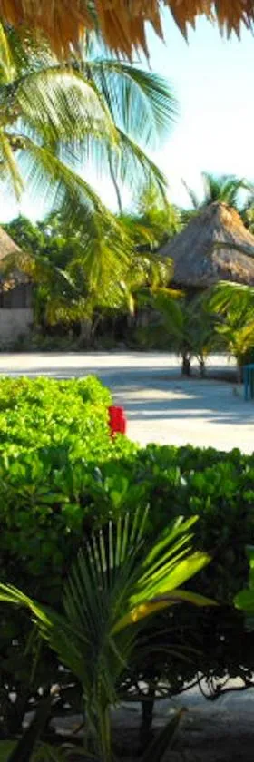 Costa De Cocos, Hotel in Xcalak