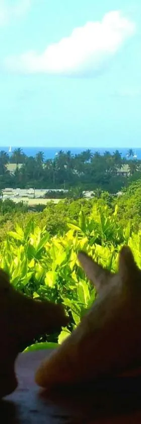 Studios Carribean Sea View, Hotel in Sainte-Anne
