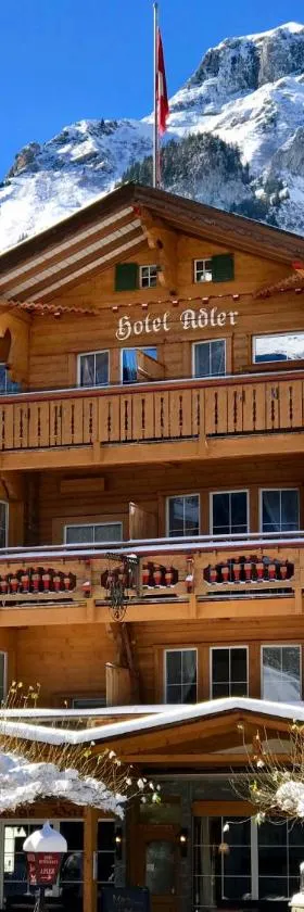 Chalet Hotel Adler, Hotel in Kandersteg