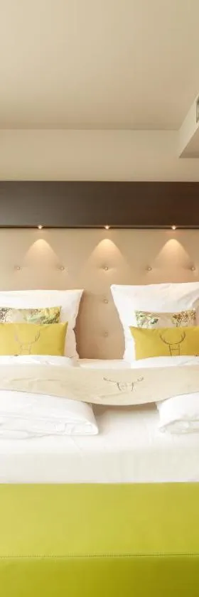 Hotel Platzhirsch, Hotel in Fulda
